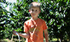 cherry pickers