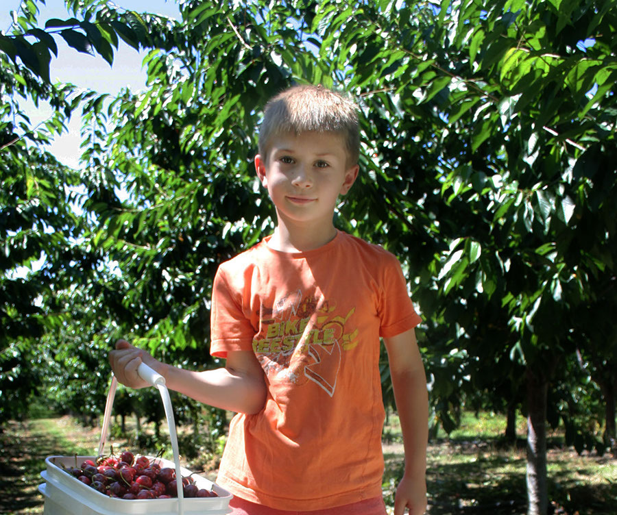 cherry pickers