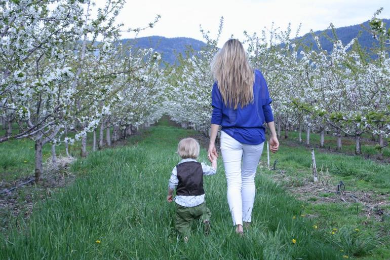 cherry pickers